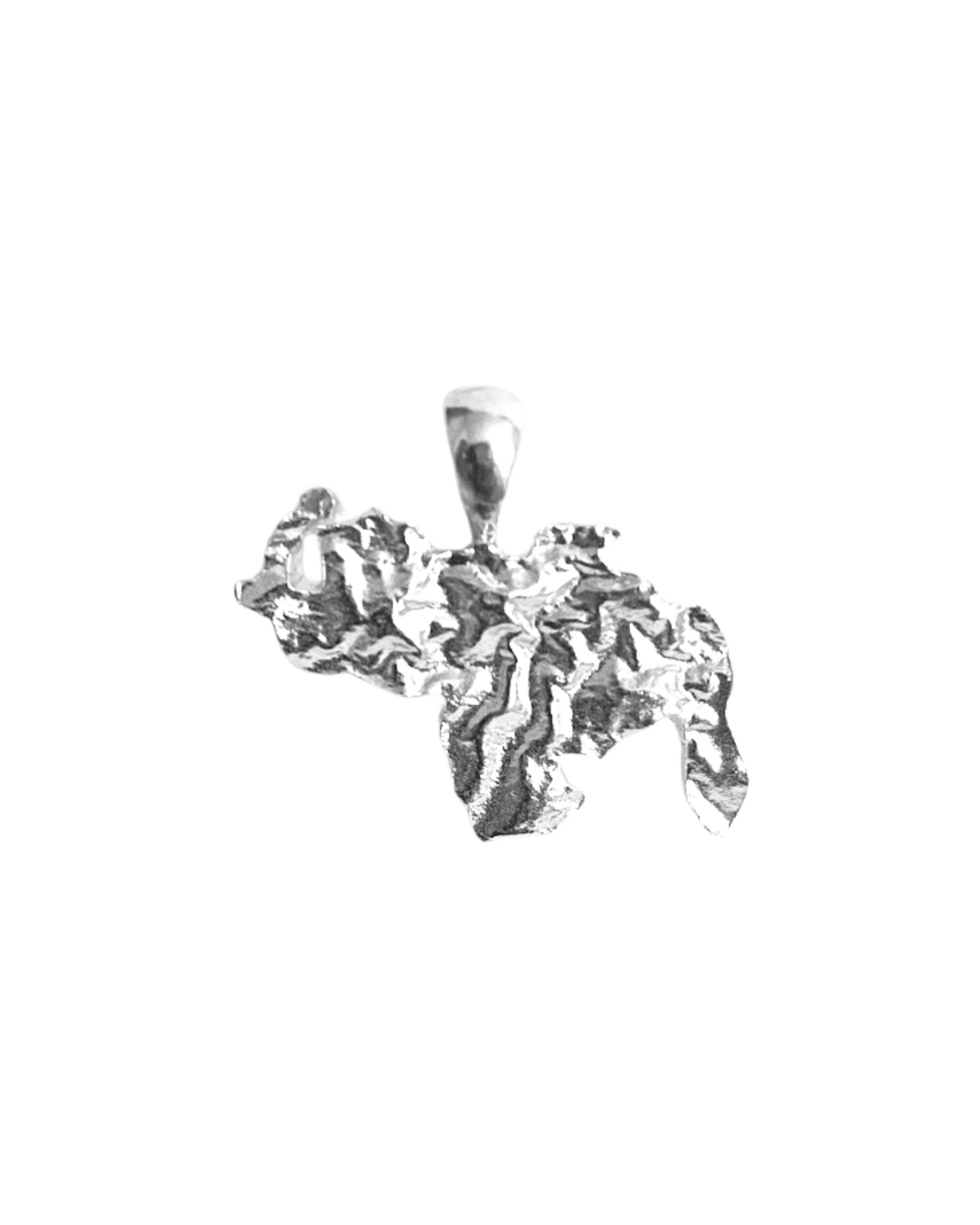 Mapa de Venezuela │ Textura